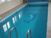 Бассейн скиммерного типа